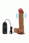 26 cm Çift Katmanlı Gerçekçi Titreşimli Penis Dildo Vibratör 26 cm Çift Katmanlı Gerçekçi Titreşimli Penis Dildo Vibratör